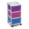 Iris Organizer Storage Chest, Multi-Color