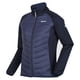 thumbnail image 4 of Regatta - Chaqueta Aislante Clumber II para Mujer (Marino), 4 of 6