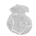 thumbnail image 3 of Wreath Storage Container, Double Zippers Transparent Convenient Practical Wreath Storage Bag Thick PVC  For Christmas, 3 of 8