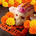 thumbnail image 4 of 2.4x1.6in Aesthetic Flower Heads,QZS Artificial Marigold Heads Bulk,60Pack Silk Marigold Flowers for DIY Wreath,Garland,Craft,Wedding,Party, 4 of 6