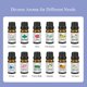 thumbnail image 4 of Aceite esencial puro de océano de 10ml para humidificador, aromaterapia, hogar, dormitorio TFixol  Aceite esencial, 4 of 7