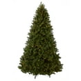 thumbnail image 3 of National Tree Company 9 ft Pre-Lit Downswept Douglas Fir Artificial Christmas Tree, 900 LED Lights, 3,185 Tips, Foot Pedal, 10 Light Functions, Includes Stand, Green, 3 of 10
