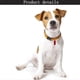 thumbnail image 3 of 1 colgante de dirección antipérdida para mascotas, etiqueta de identificación con nombre para perro y gato, tubo de almacenamiento para tarjeta de identidad, accesorios para perros y gatos, rojo 7, 3 of 5
