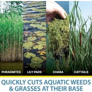 Jenlis Weed Razer Express - Aquatic Weed Cutter for Lakes, Ponds & Beaches