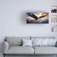 thumbnail image 3 of Canvas Wall Art - Momart 'Eagle Flying (1)' Wall Art for Living Room, Bedroom, or Office Décor by Trademark Fine Art - 19 x 10 Inches, 3 of 4