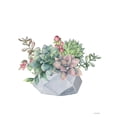 thumbnail image 2 of Seven Trees  Design 12x14 White Modern Wood Framed Museum Art Print Titled - Watercolor Succulents, 2 of 4