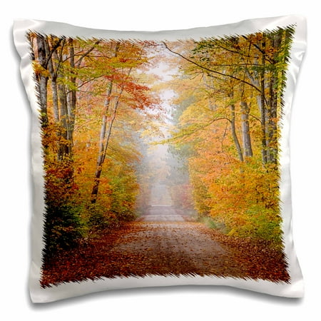 - 3dRose Road in fall color, Schoolcraft County, Upper Peninsula, Michigan - Pillow Case, 16 by 16-inch
