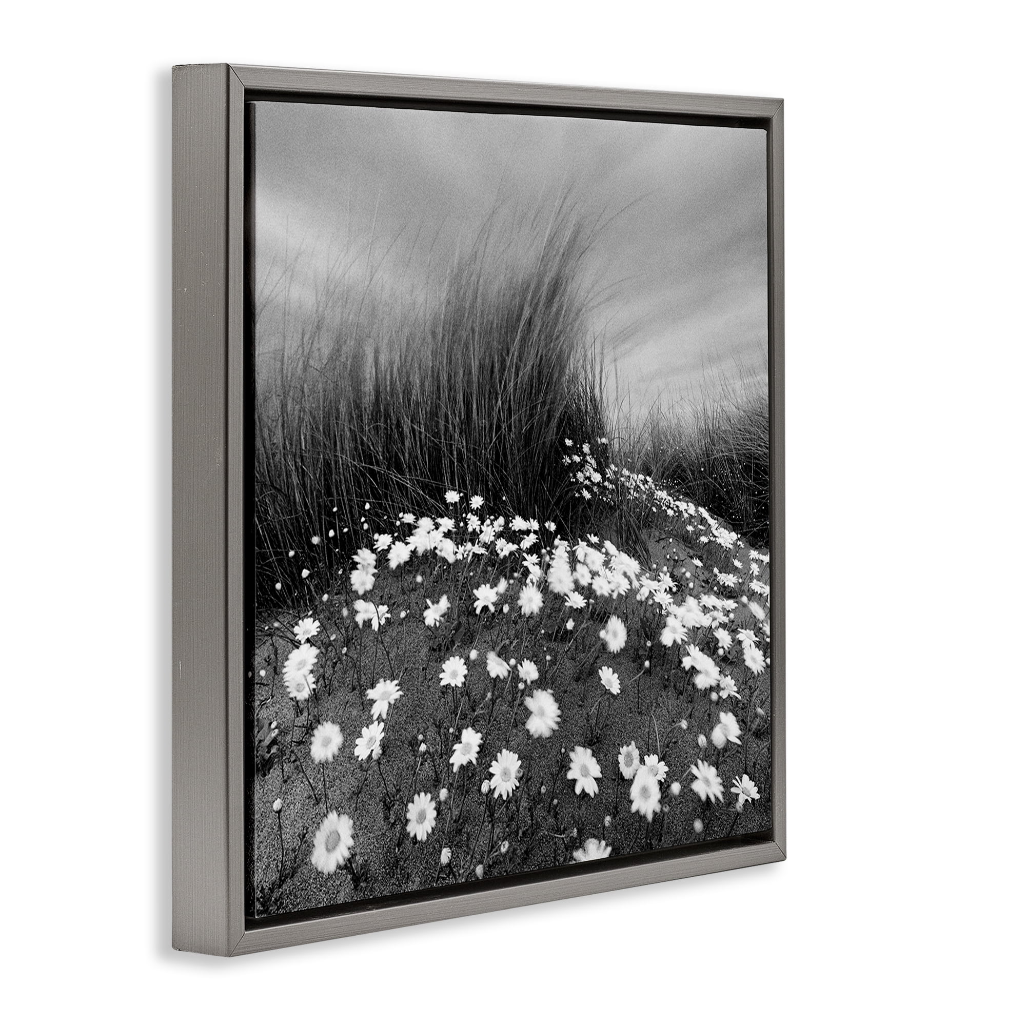 Stupell Industries Sand Daisies on Hill Landscape Photography Gray Floater Framed Art Print Wall Art, 25 x 25