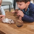 thumbnail image 3 of Shisuyan 1Set Hamster Rabbit Chew Toy Bell Shape Wood for Small Pets Indoor Play 5.3x5.3x5.3in, 3 of 8
