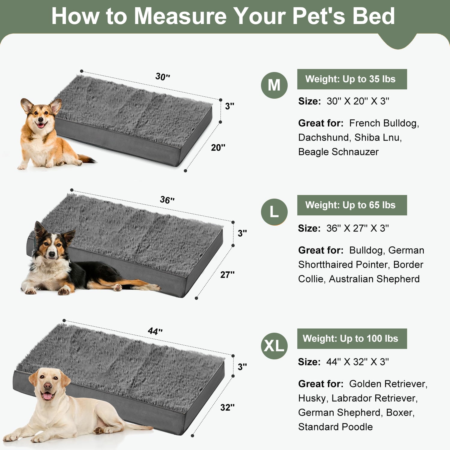 PayUSD Dog Bed for Large Dogs Dogs, Big Orthopedic Dog Beds with Removable Washable Cover & Waterproof Lined, Egg Crate Foam Pet Bed Mats Suitable for Dogs Up to 65 lbs ( Dark Gery, 36"X27"X3")