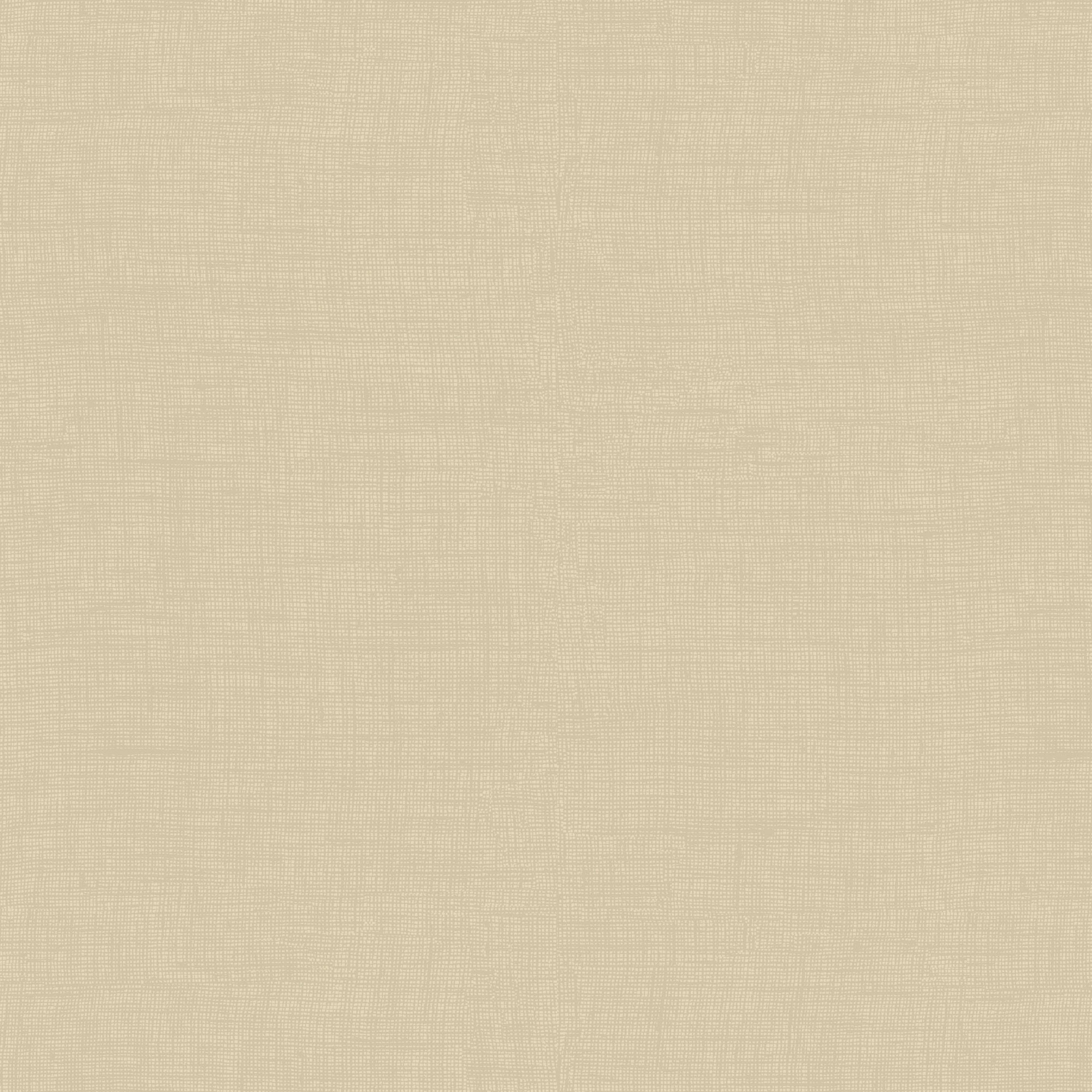ARDEN Outdoor Wicker Chair Cushion, 2 pack 18 x 20, Tan Leala