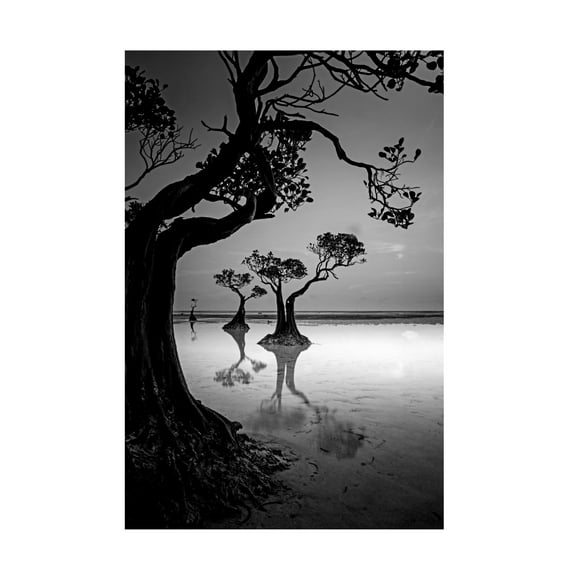 Canvas Wall Art - Angela Muliani Hartojo 'Framing' Wall Art for Living Room, Bedroom, or Office Décor by Trademark Fine Art - 12 x 19 Inches