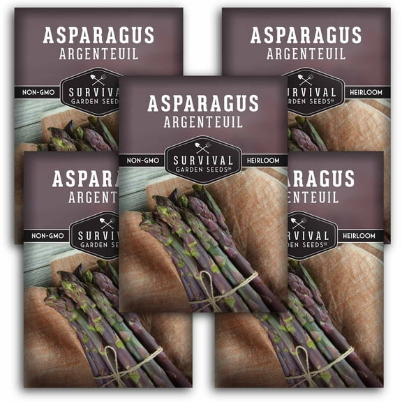 5 Packs Argenteuil Purple Asparagus Seeds - Non-GMO Heirloom Perennial Full Sun Vegetable