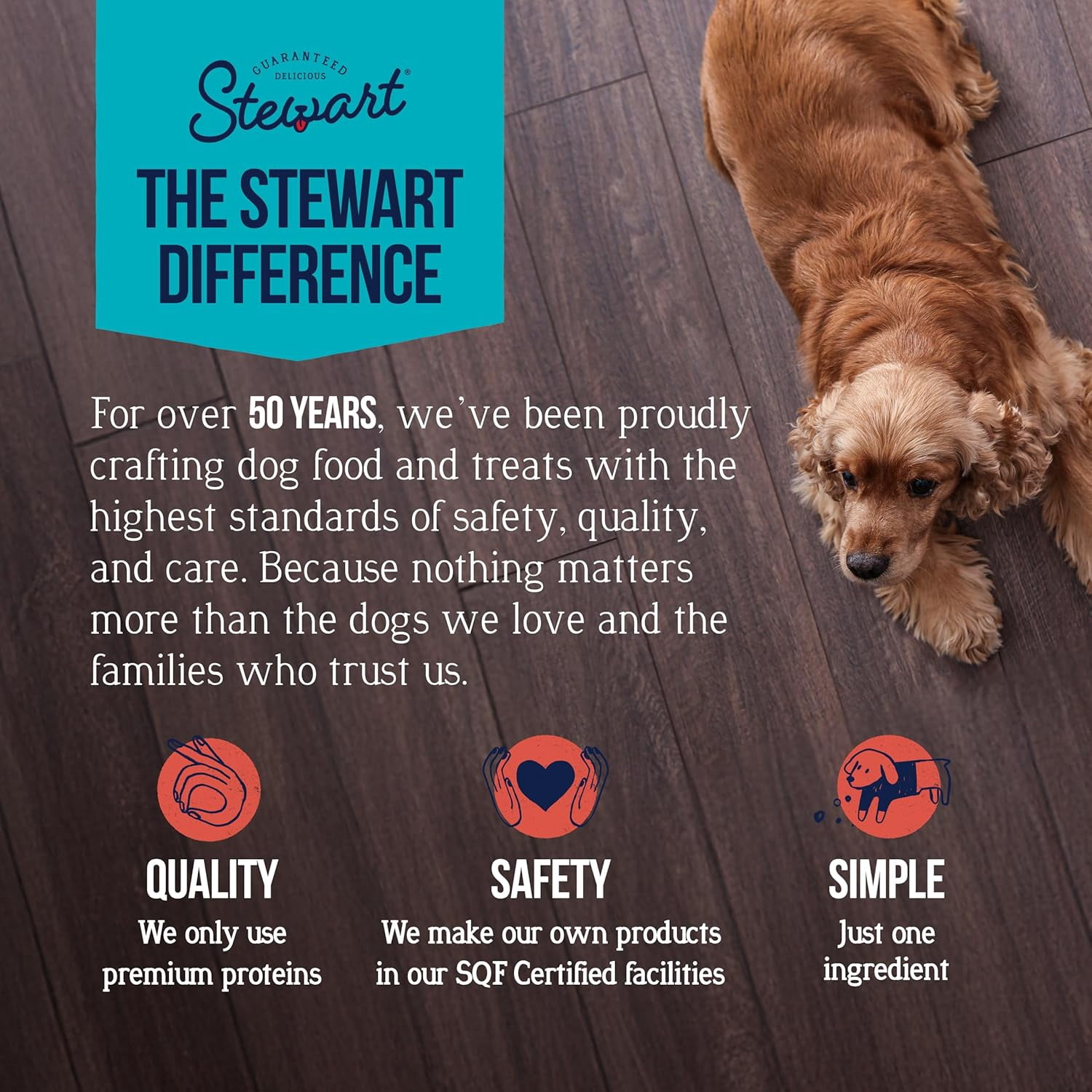 Stewart Freeze-Dried Beef Liver Dog Treats, 21 oz Tub