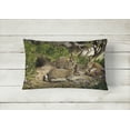 thumbnail image 2 of Carolines Treasures BDBA0136PW1216 Rabbits & the Rabbit Hole Fabric Decorative Pillow, 2 of 3