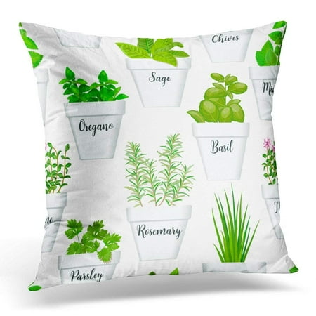 ARHOME Big of Culinary Herbs in White Pots with Labels Green Growing Basil Sage Rosemary Chives Thyme Parsley Throw Pillow Case Pillow Cover Sofa Home Decor 16x16