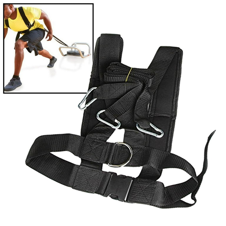 Weight best sale sled harness