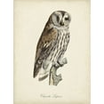thumbnail image 2 of de Langlois 19x24 Black Ornate Wood Framed with Double Matting Museum Art Print Titled - French Owls III, 2 of 4