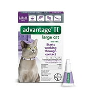 Advantage II Large Cat Vet-Recommended Flea Treatment Prevention | Cats Over 9 lbs. | 6-Month Supply
