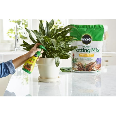 Miracle-Gro Indoor Potting Mix and Miracle-Gro Indoor Plant Food - Black