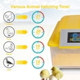 thumbnail image 2 of INTBUYING Digital Egg Incubator 48 Eggs Poultry Hatcher General Digital Incubators Breeder with Temperature Control and Auto Turning for Hatching Chicken Duck Goose Quail Birds, 2 of 10