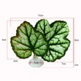 thumbnail image 6 of sunsanly Betta Fish Leaf Pad Aquarium Decor Stress Relief Privacy Enhancing Realistic Resting Bed Hammock Simulating Habitat Easy to Clean High Simulation Fish Tank Decoration, 6 of 8