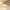 Khaki, variant on TWINNIS Area Rugs Floral Boho Rug Floor Carpet for Living Room Bedroom,4'x6',Cream White