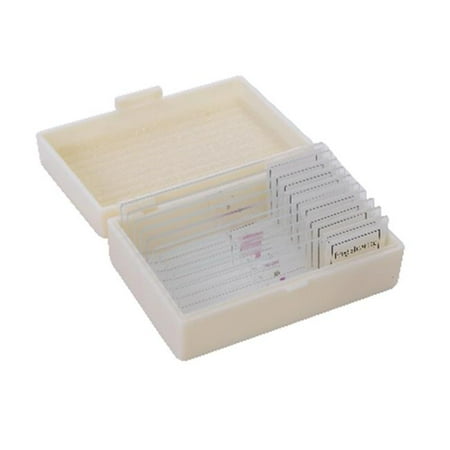 American Educational Products 7-1353 Prepared Microscope Slides, Glass, Set Of 10 - Amphibians & Frogs