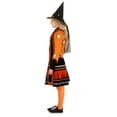 thumbnail image 3 of Dani Dennison Hocus Pocus Costume for Adults, 3 of 6