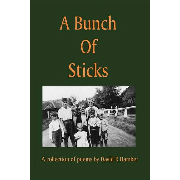 A Bunch of Sticks, (Paperback)