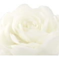 thumbnail image 3 of JWH 3D Handmade Soft Round Decorative Rose Flower Accent Throw Pillow 14inch Creamy White, 3 of 7