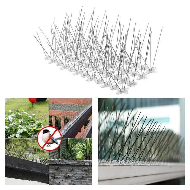 Clavos de pared de Valla para pájaros Cola 12 Piezas