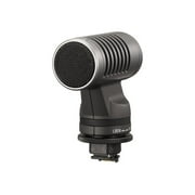 Sony High-Fidelity Stereo Microphone
