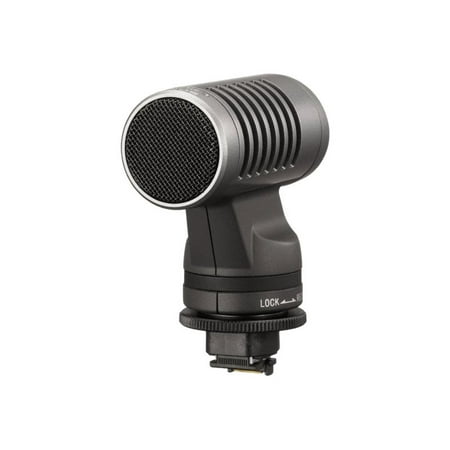 Sony High-Fidelity Stereo Microphone