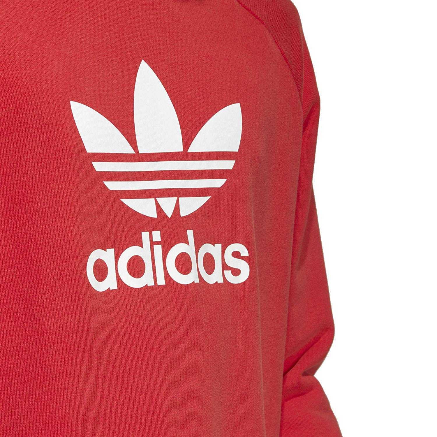 adidas trefoil warm up