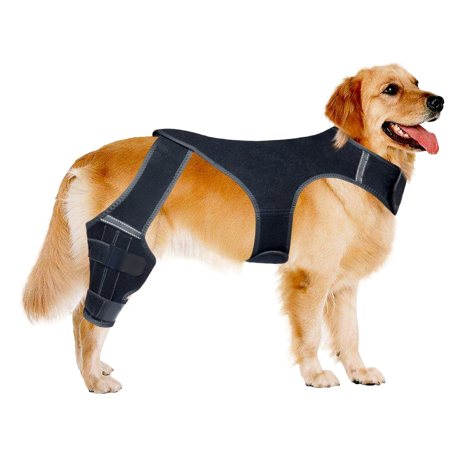 Dog Knee Brace for Torn ACL/CCL & Hind Leg Support - Adjustable Brace for Arthritis Relief, Joint Stability & Injury Recovery - Fits Small & Medium Dogs（1PC）