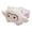 Multicolor Size C G2, variant on ZZkhGO Magnetic Small Doll Refrigerator Stickers, Adorable Lying Prone Plush Fridge Decor, Cute Soft Squeezable Party Favor for Home Kitchen Office