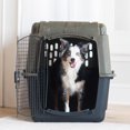 thumbnail image 5 of Petmate RuffMaxx Plastic Dog Kennel Outdoor & Indoor Pet Carrier & Crate with 360 Degree Ventlation, Large 40"L for Dogs 70-90 lb, Camouflage Brown, 5 of 11