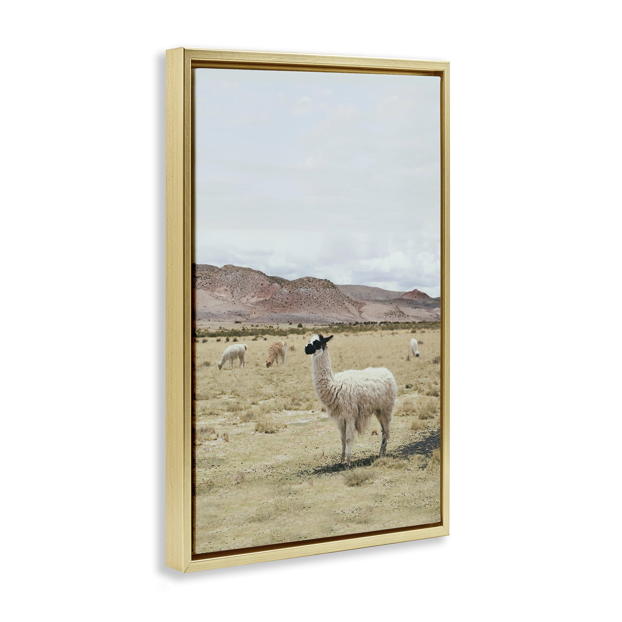 Stupell Industries Wild Alpacas in Desert Animals Photography Gold Floater Framed Canvas Art Print Wall Art, 17 x 25