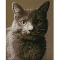 thumbnail image 5 of Diamond Dotz Smokey Cat Diamond Painting Kits for Adults - Diamond Art Kits a Relaxing Creative Craft Kit with Dotz Gems 14.8"x11.8", 5 of 6