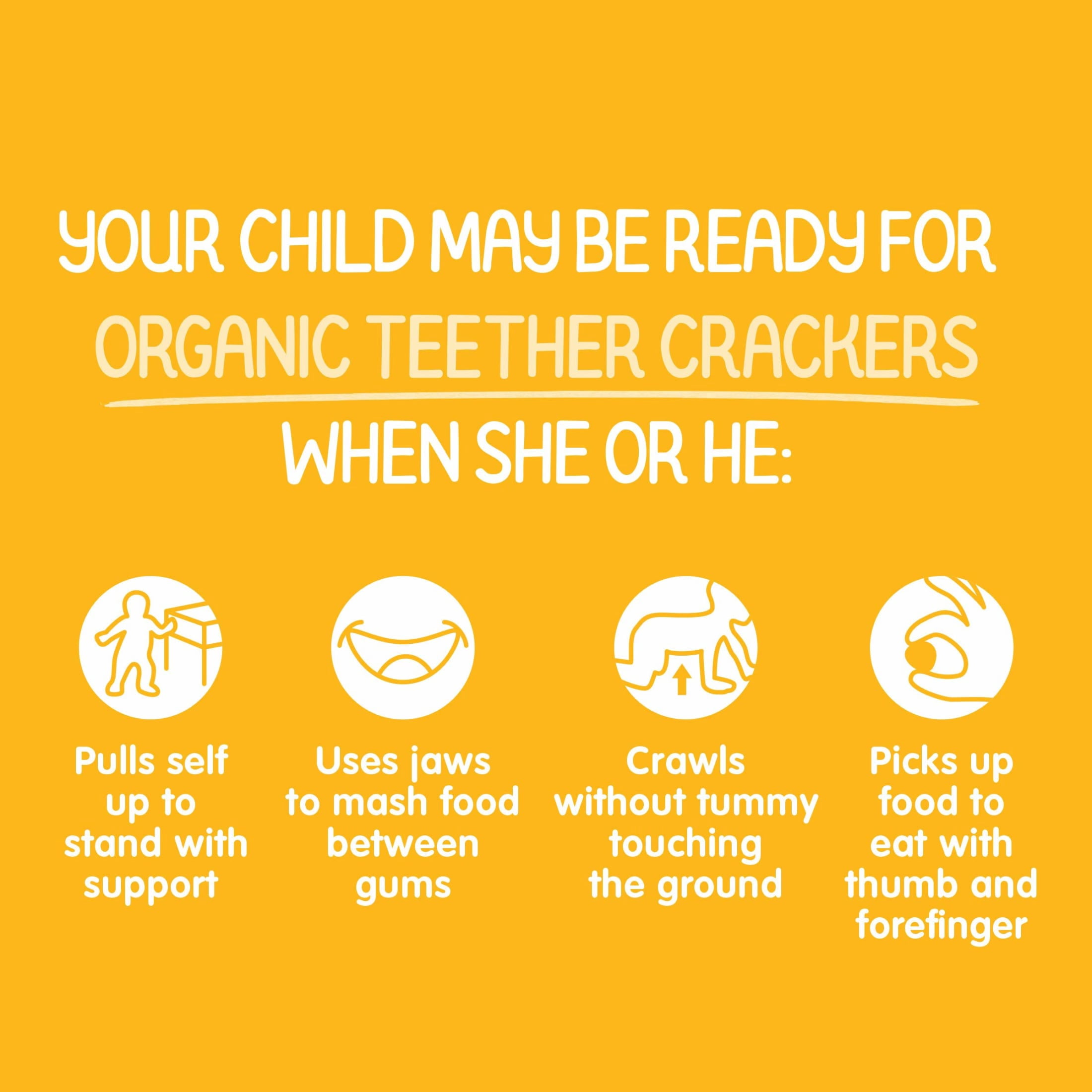 Happy Baby Organics Teether Crackers, Mango & Pumpkin Organic Gluten Free Teething Snack, Box of 12-2packs (24 wafers)