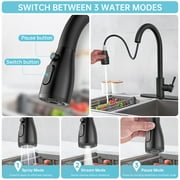 Kitchen Sink Faucets with Pull Down Sprayer, High Arc Single Handle with Water Lines