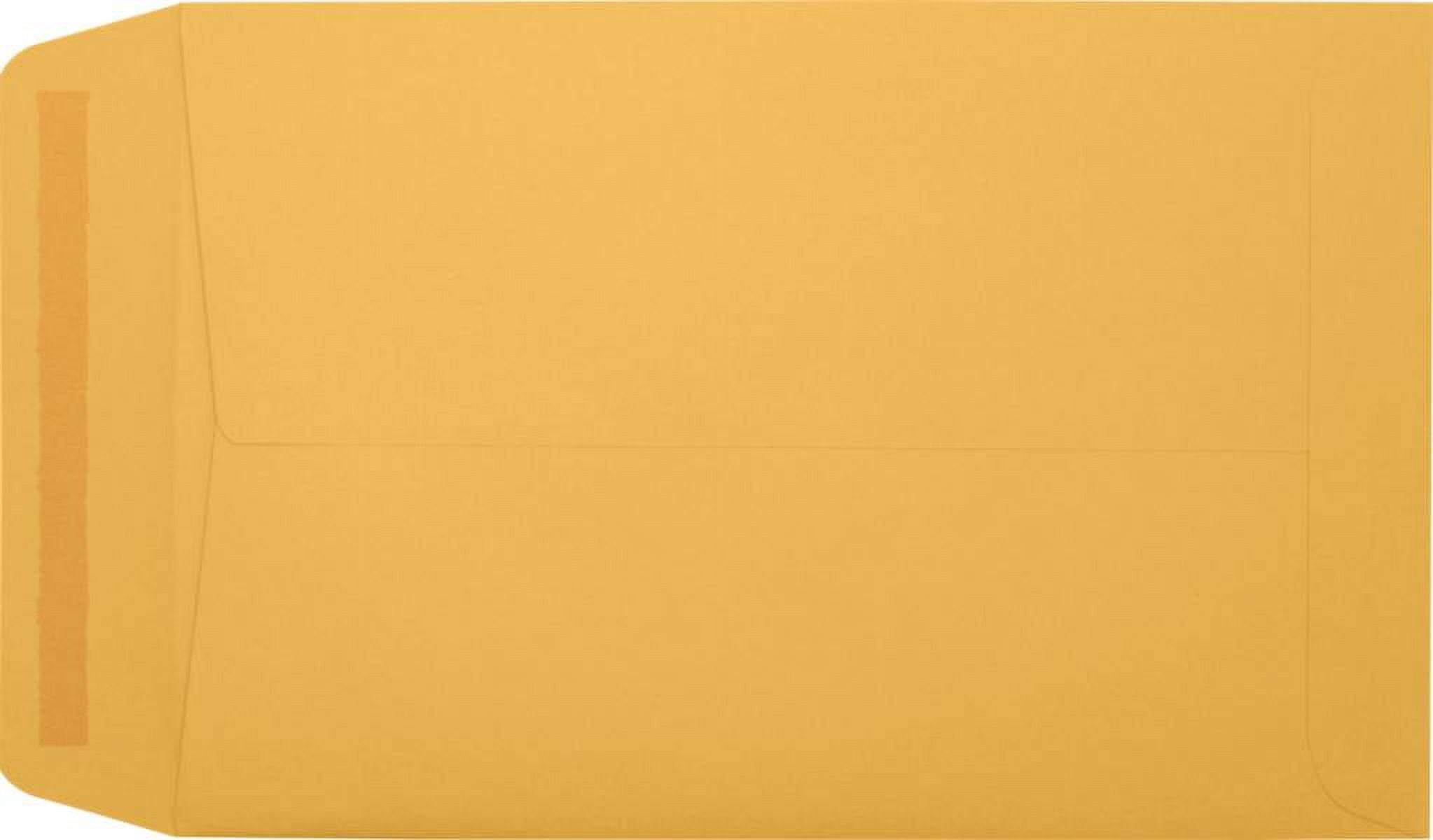 LUXPaper 6 x 9 Open End Envelopes, Brown Kraft, 250/Pack