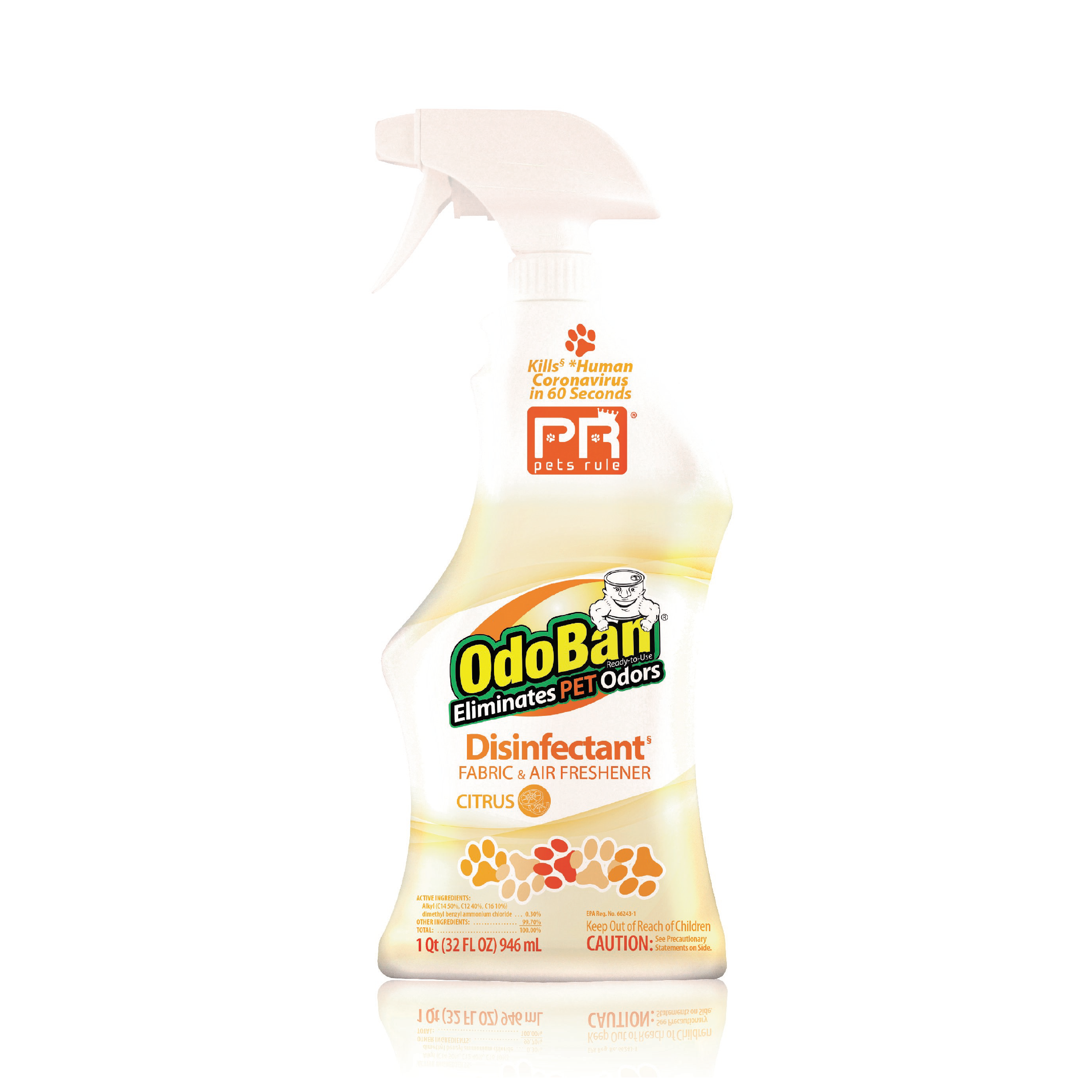Pets Rule OdoBan ReadytoUse Pet Odor Eliminator, 32 Ounce Spray