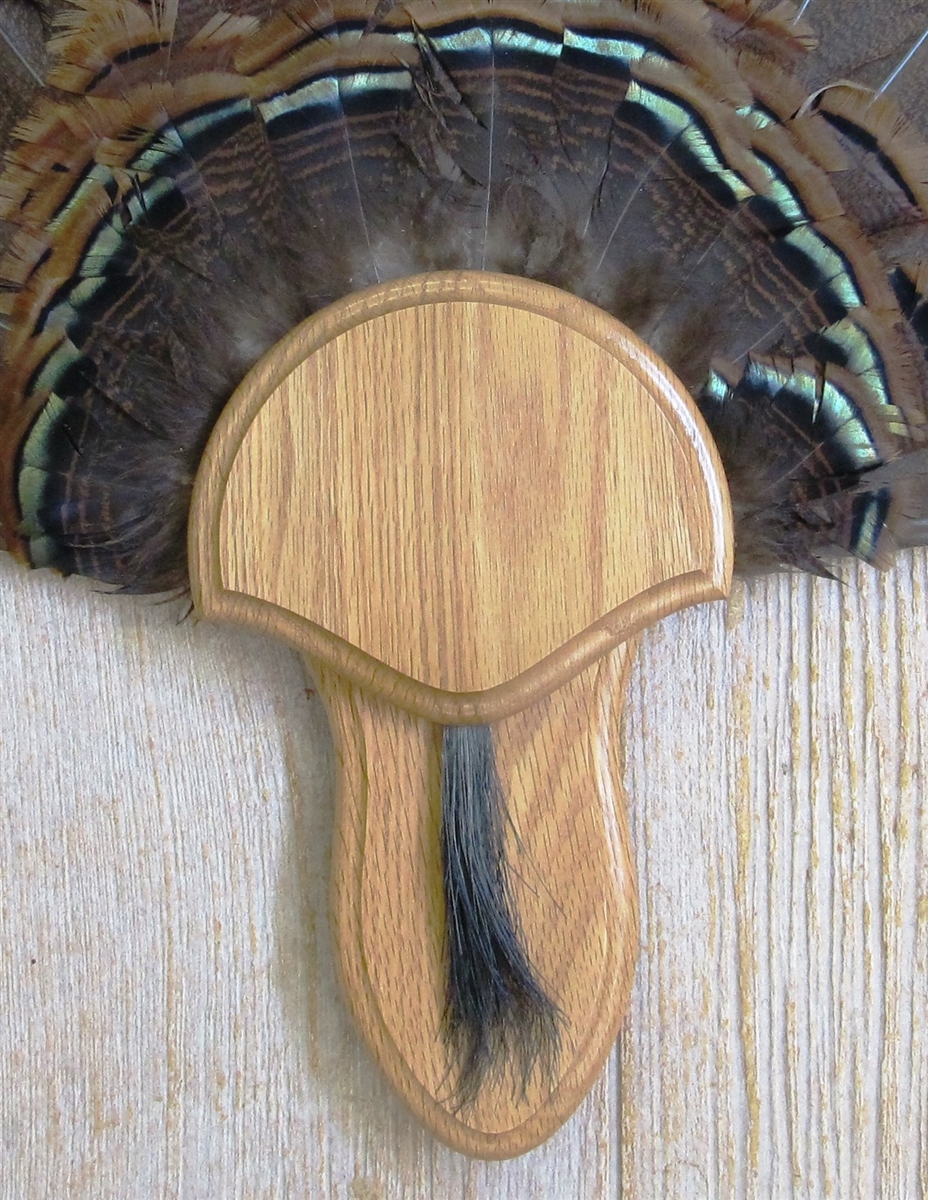 The Taxidermists' Medium Oak Turkey Fan Mounting Kit 02