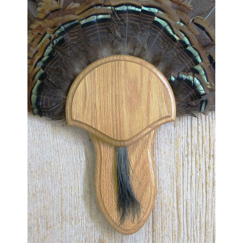 The Taxidermists' Medium Oak Turkey Fan Mounting Kit 02
