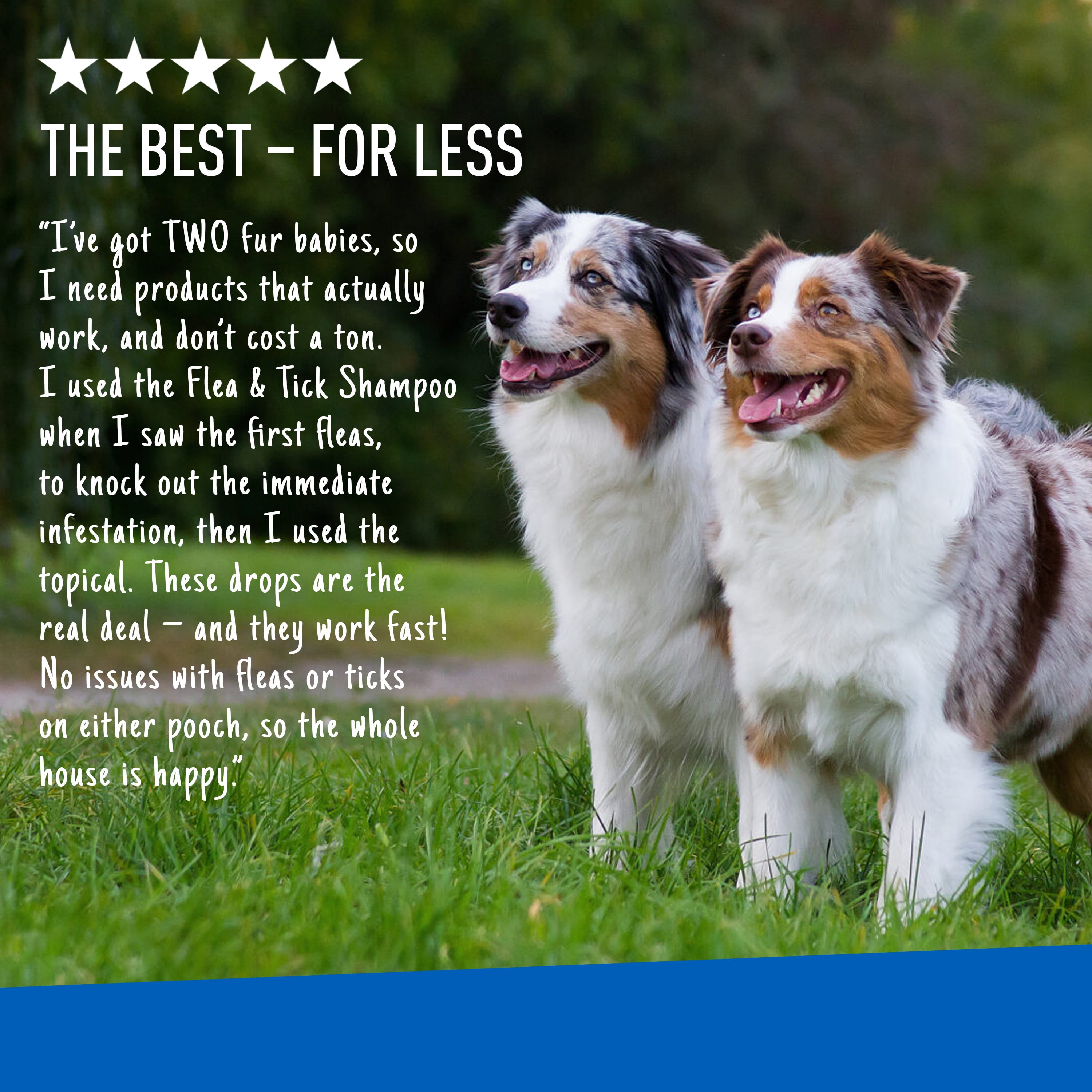 Adams flea and tick spot on for dogs best sale