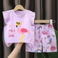 thumbnail image 4 of Girls Clothes T-Shirt Top + Shorts 2pcs Outfit Set Girl Spring Summer Clothing Size 3T 4T 5T 6T Little Girls School Clothing Set Kaprioy Girls Clothes, 4 of 4