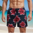 thumbnail image 2 of Goodtrade8 Dry Fit Shorts for Men Elastic Waist Board Shorts Swimwear Summer Vacation Quick Dry Breathable Drawstring Casual Mens Swim Shorts Hawaiian,Size L, 2 of 9