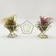 thumbnail image 3 of Soporte para plantas de piña Soporte geométrico para plantas de aire Soporte para esponjas en polvo - Oro rosa (Material: Metal, Tamaño: Diámetro 55 mm, Altura 45 mm), 3 of 5